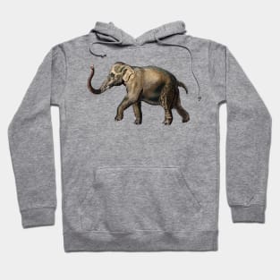 Cheerful Elephant Hoodie